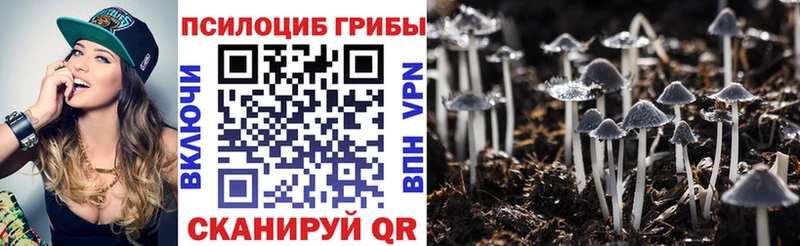 Галлюциногенные грибы мухоморы  сколько стоит  Выборг 