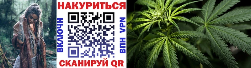 как найти Выборг Конопля конопля